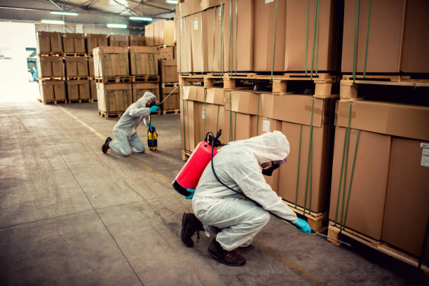 Best Wildlife Control Services  in Kaibito, AZ
