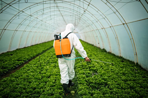 Best Affordable Exterminators  in Kaibito, AZ