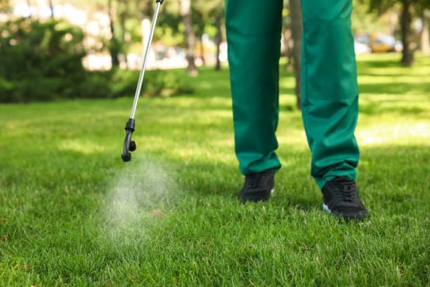 Best Termite Control Services  in Kaibito, AZ