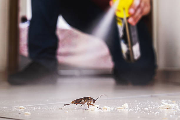Wildlife Control Services in Kaibito, AZ