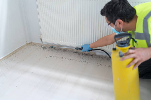 Pest Prevention Services in Kaibito, AZ