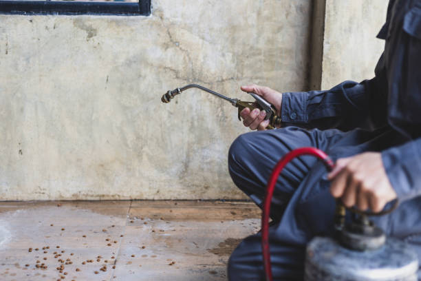 Best Residential Pest Control  in Kaibito, AZ