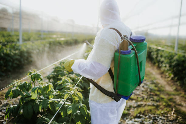 Trusted Kaibito, AZ Pest Control Experts
